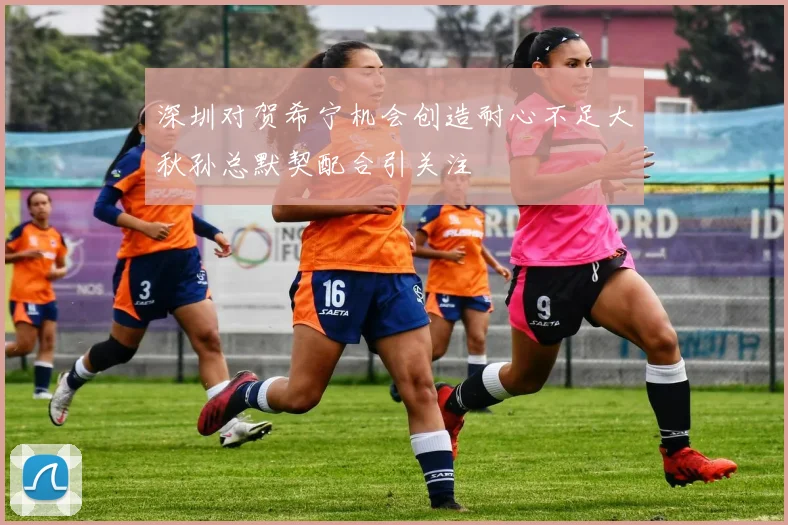 深圳对贺希宁机会创造耐心不足大秋孙总默契配合引关注